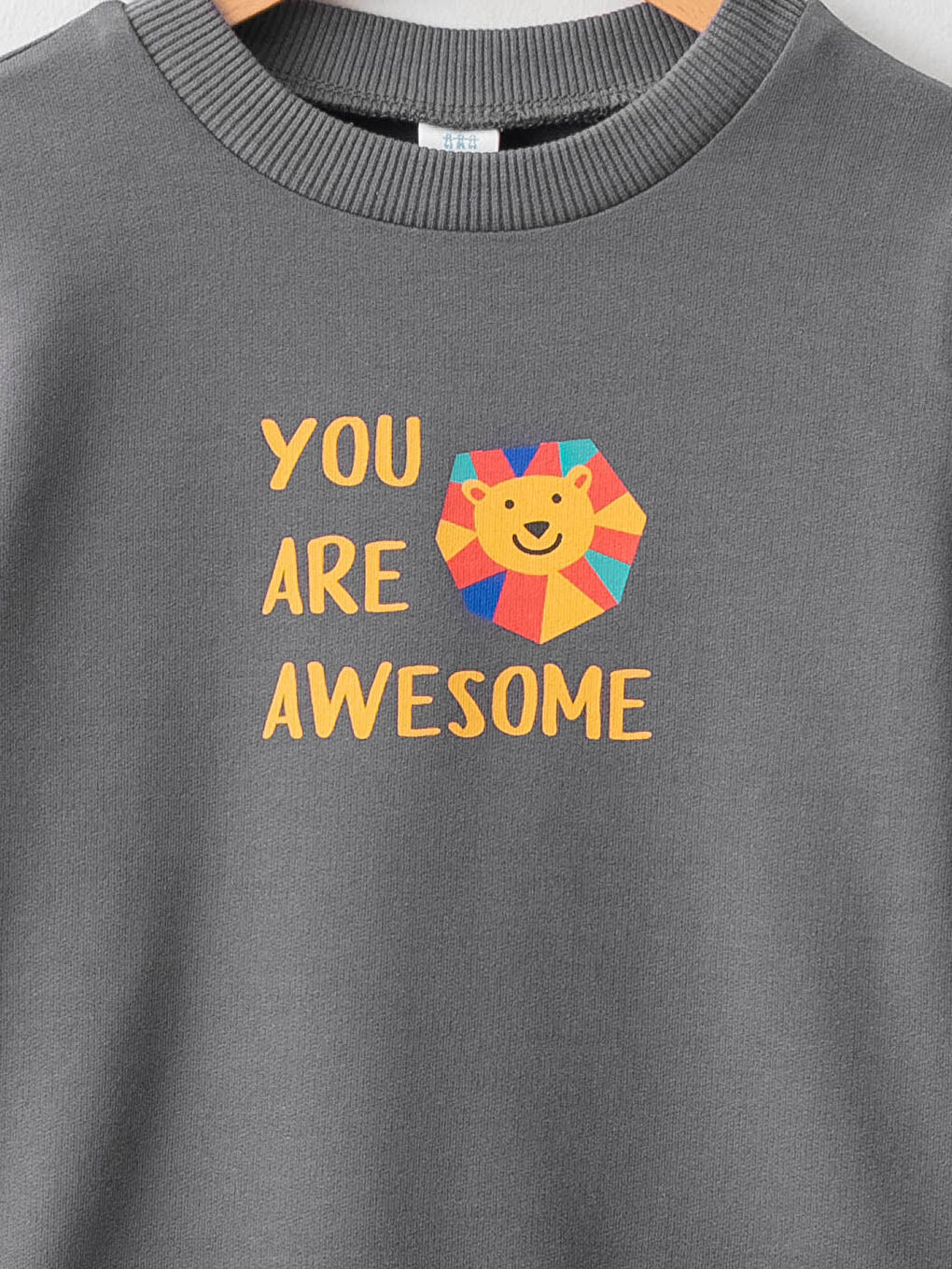 Crew Neck Long Sleeve Cotton Baby Boy T-Shirt-2