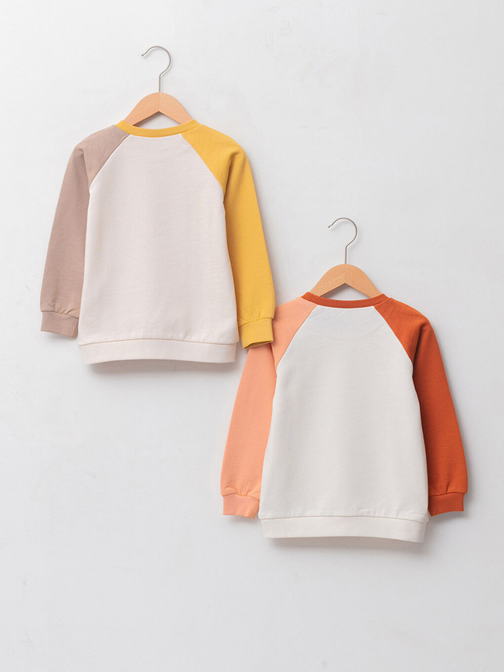 Crew Neck Long Sleeve Printed Baby Boy Sweatshirt 2-Pack-1