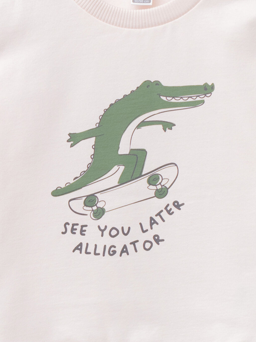 Crew Neck Long Sleeve Printed Baby Boys' Sweatshirt-2