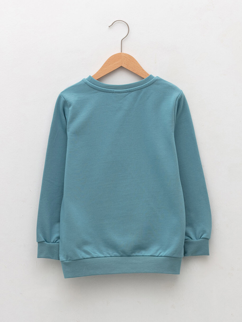 Crew Neck Basic Long Sleeve Boys' Sweatshirt-1