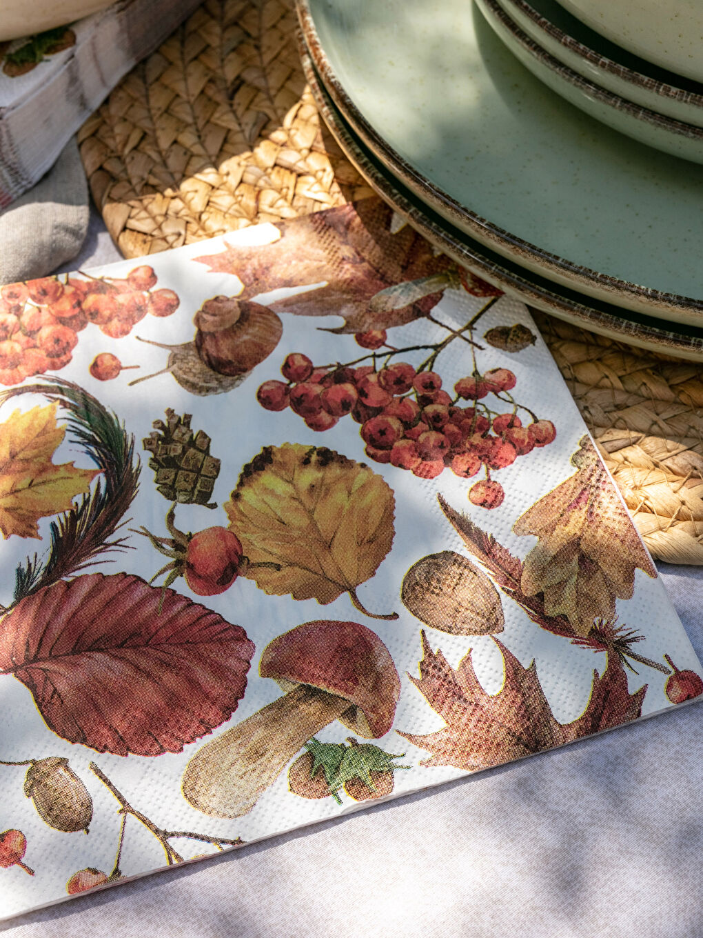 Printed Paper Napkins 20-pack 33x33 Cm -W25084Z8-F9C