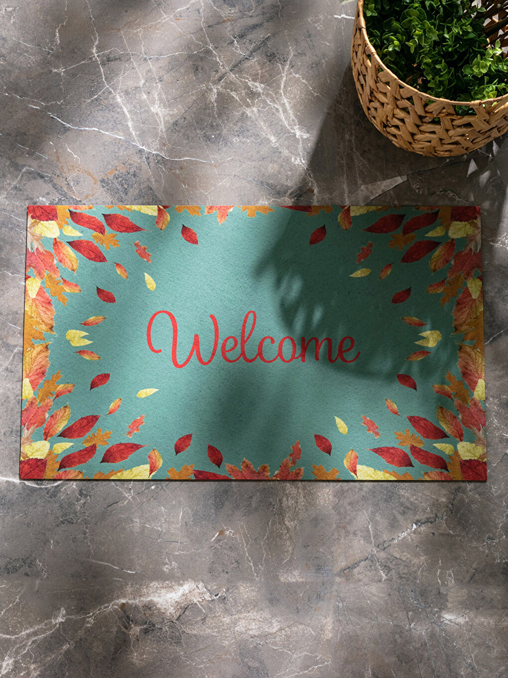 Коврик для двери с принтом 45x75 см