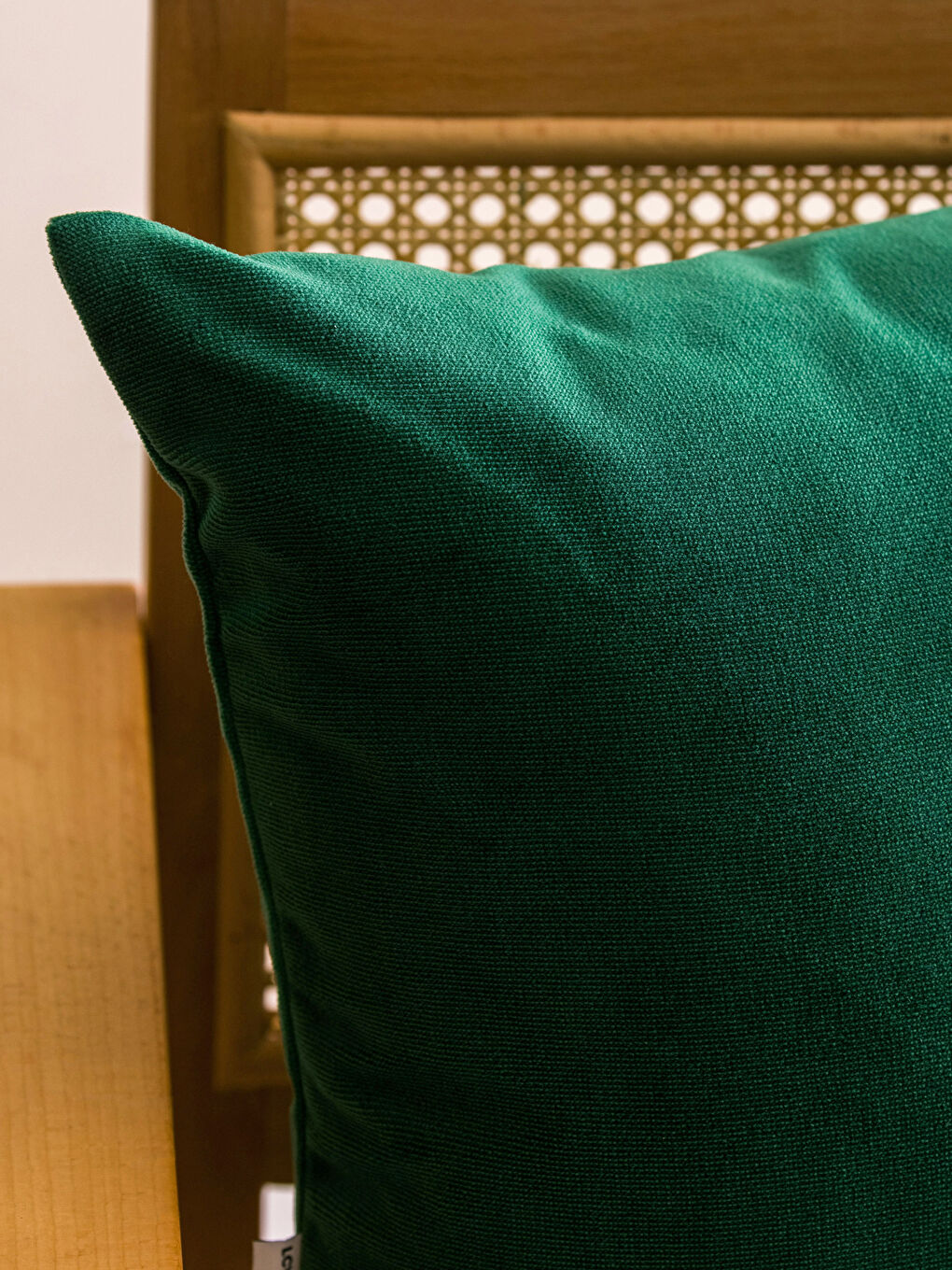 LCW HOME Plain Velvet Pillow 45x45 Cm -W2H080Z8-HQZ