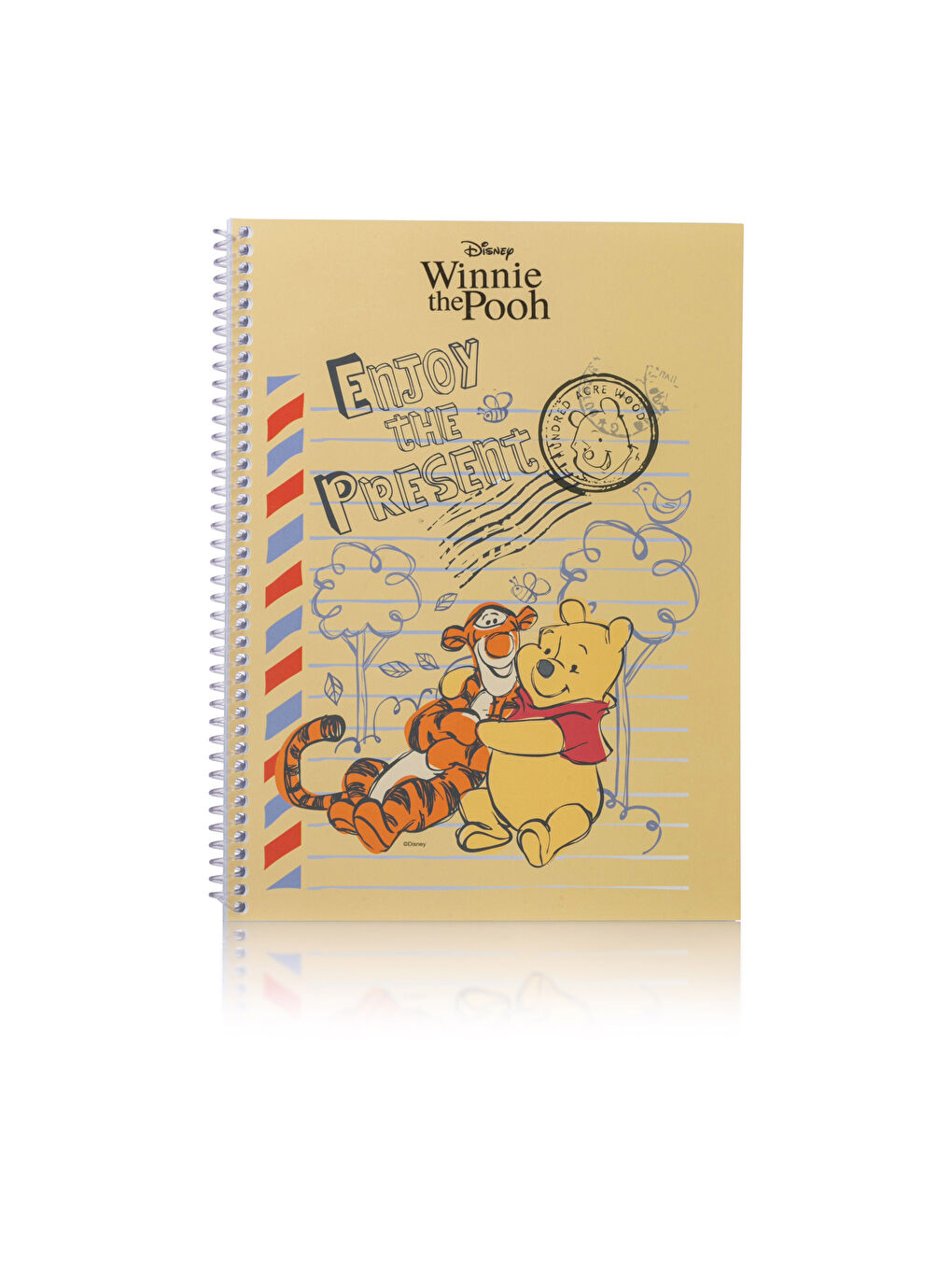 LCW HOME Winnie The Pooh Baskılı Defter - 4