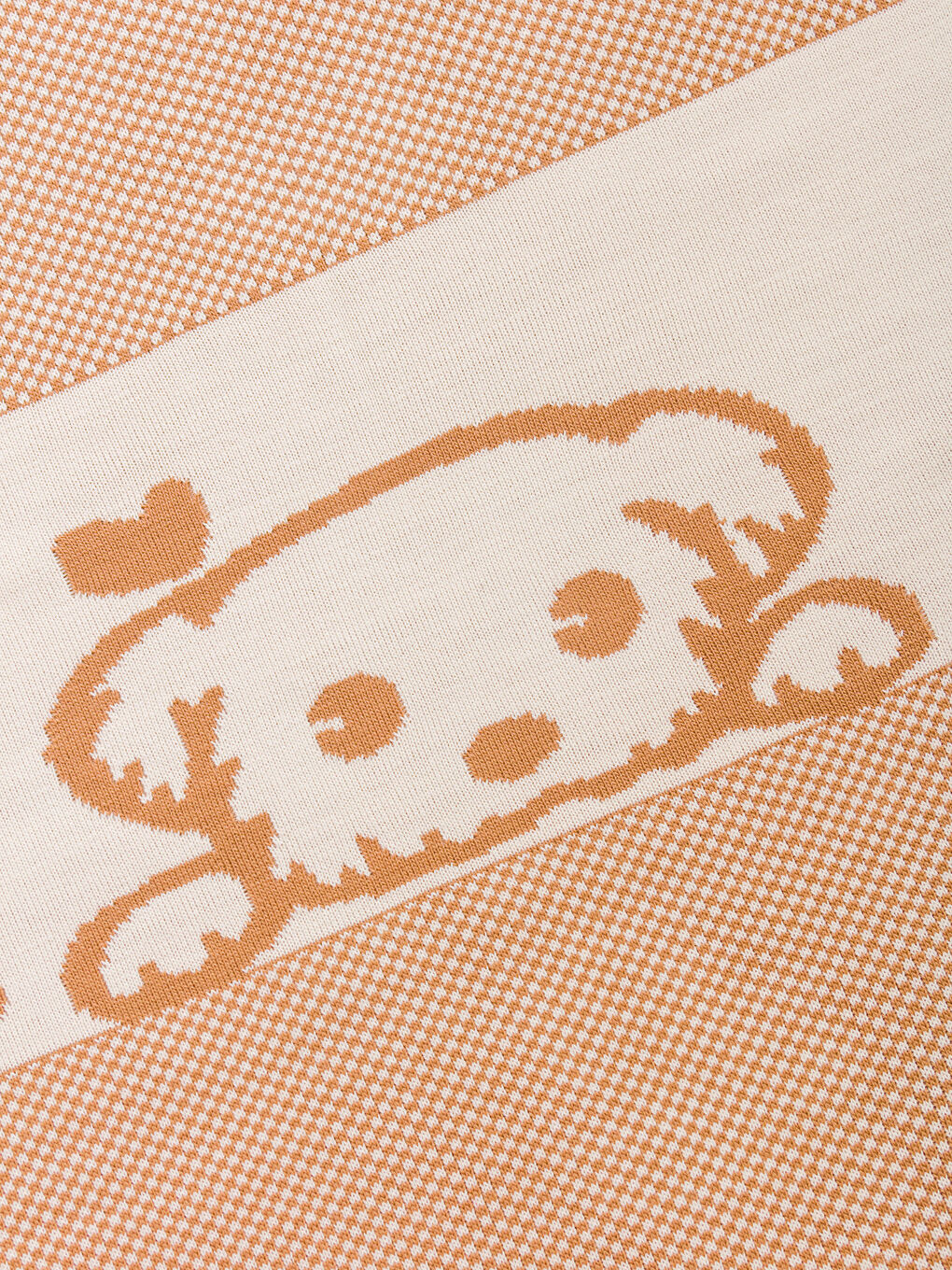 Kahverengi Köpek Baskılı Erkek Bebek Battaniye-2