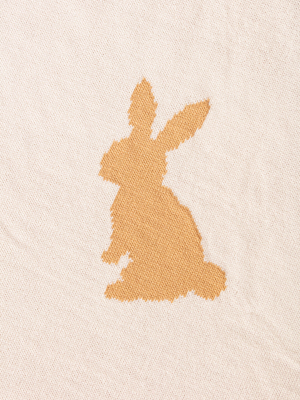 Kahverengi Hayvan Desenli Erkek Bebek Battaniyesi-3