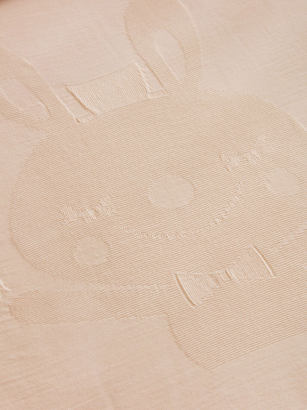 Bej Baskılı Erkek Bebek Battaniyesi-2