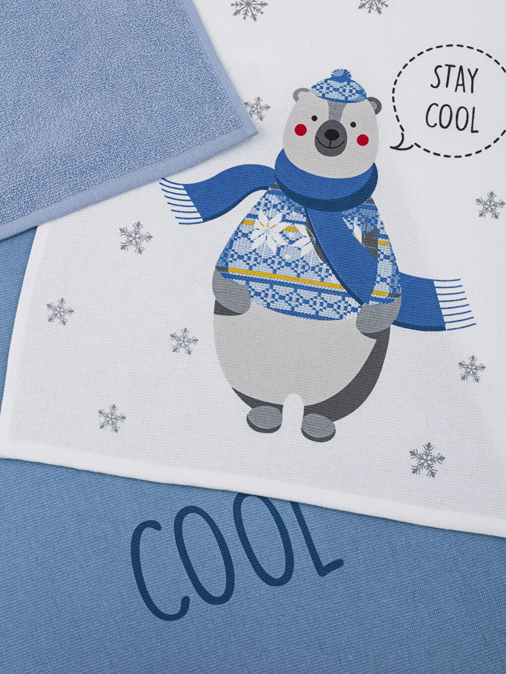 Mavi Baskılı Kurulama Bezi Seti-2