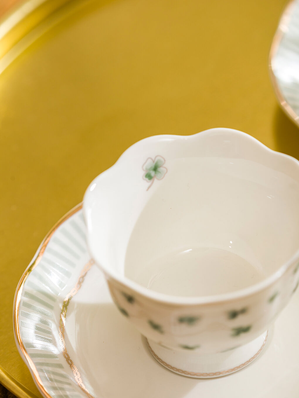 Yeşil Yonca Baskılı 2 Kişilik Porselen Kahve Fincan Takımı 90 ml-2