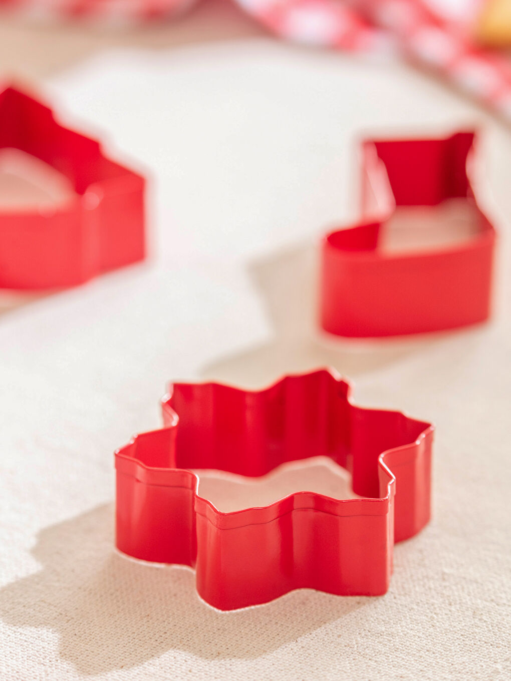 New Year Themed Cookie Mold 10-packs-2