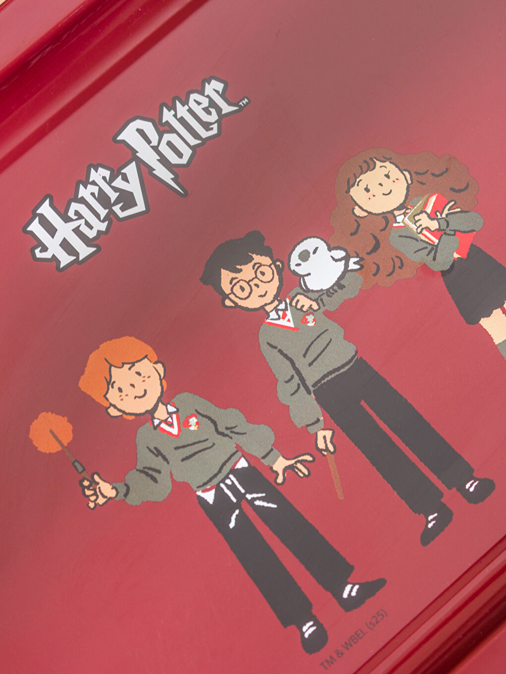 LCW HOME Harry Potter Printed Metal Tray 35 cm -W5GL64Z8-M0T