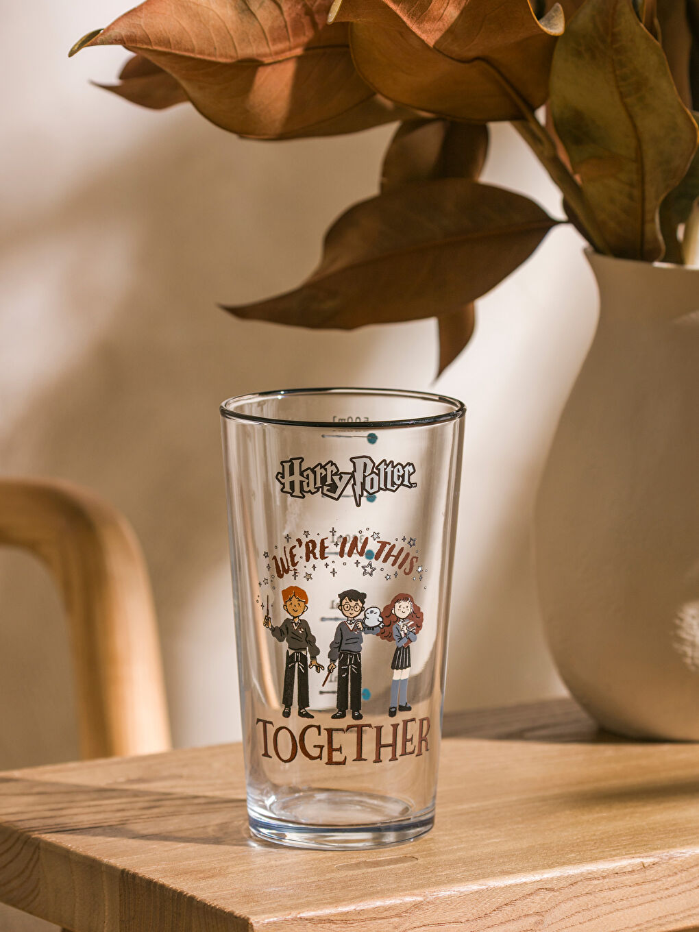 Harry Potter Printed Glass Soft Drink Glass 570 ml-2