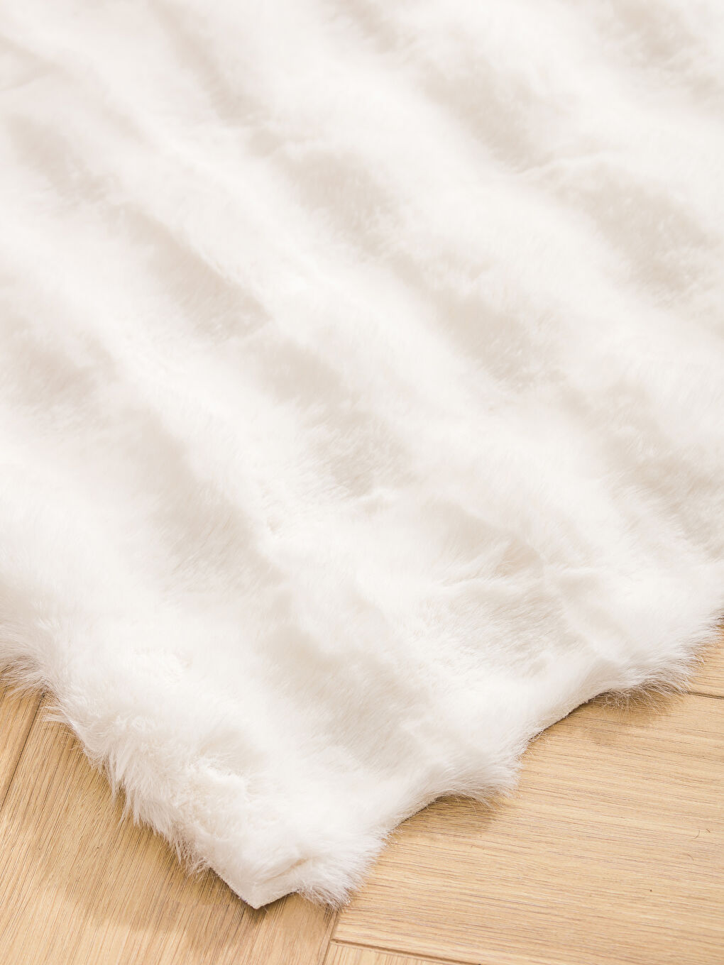 ECRU Carpet -W5IJ67Z8-EEW