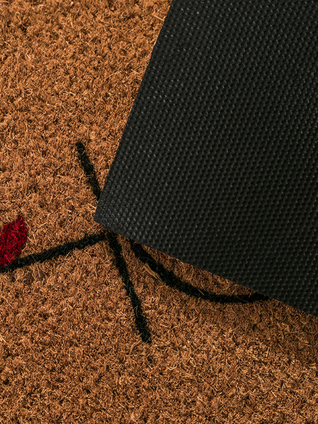 Karışık Home Yazı Baskılı Kapı Önü Paspası 60x35 cm-2