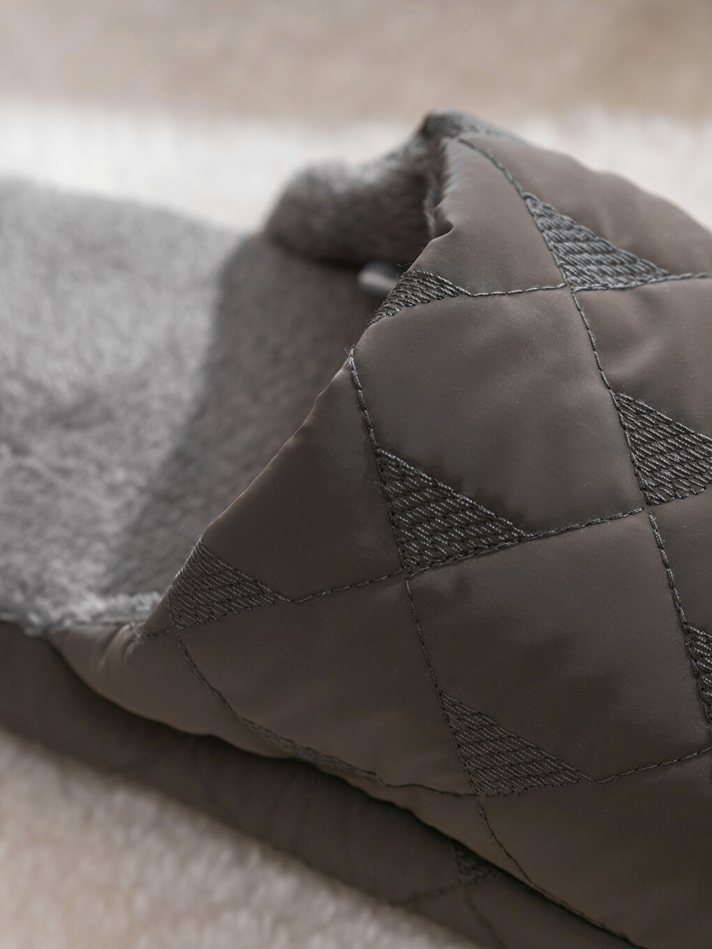 نەعلی ناوماڵ خۆڵه‌مێشی پیاو-2