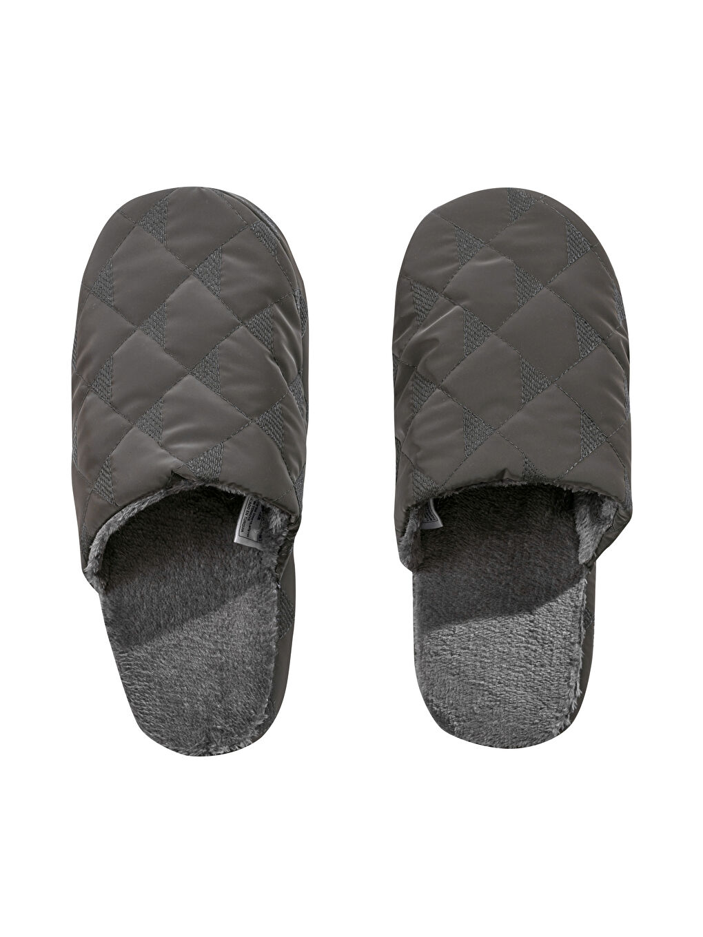 نەعلی ناوماڵ خۆڵه‌مێشی پیاو-5