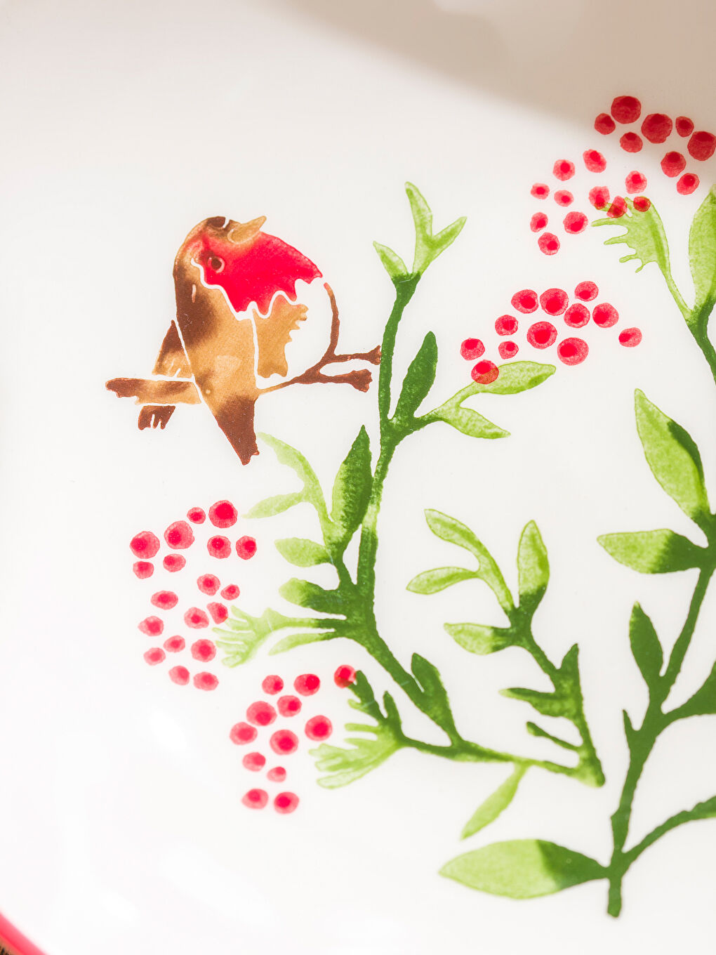 Karışık Kokina Baskılı Seramik Salata Kasesi 23 cm-2