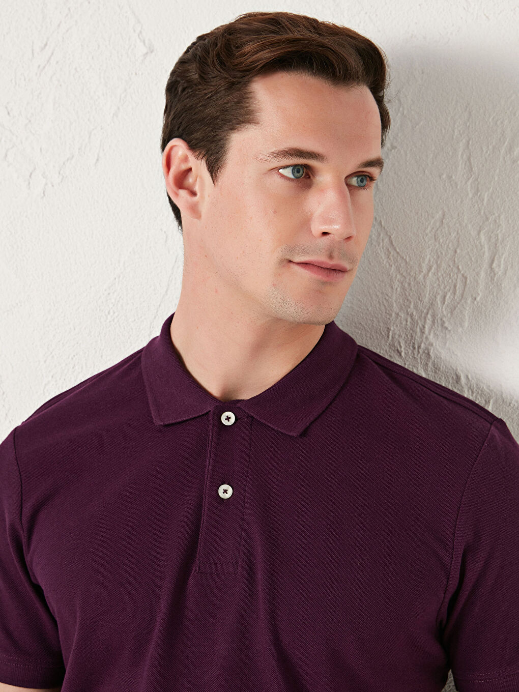 Mürdüm Polo Yaka Kısa Kollu Pamuklu Erkek Tişört-3