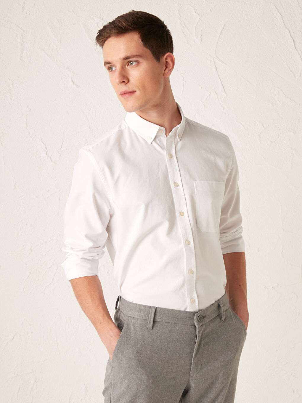 Chemise Oxford à Manches Longues Coupe Régulière
