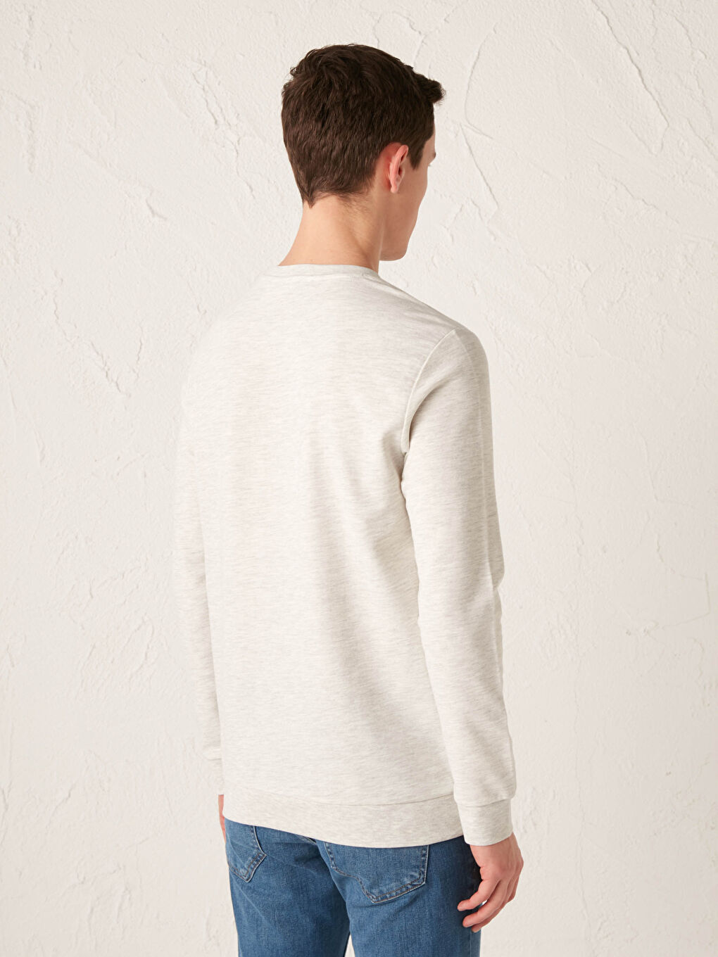 Crew Neck Long Sleeve Printed Men's Sweatshirt-4