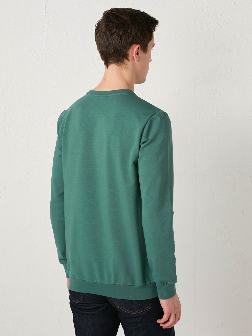 LC Waikiki Crew Neck Printed Heavy Sweatshirt -S13214Z8-HBJ