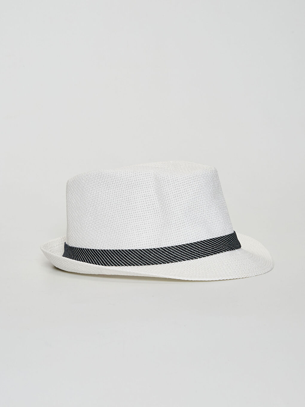 LCW ACCESSORIES Gestreifter Herren-Fedora-Hut -S15004Z8-FFB