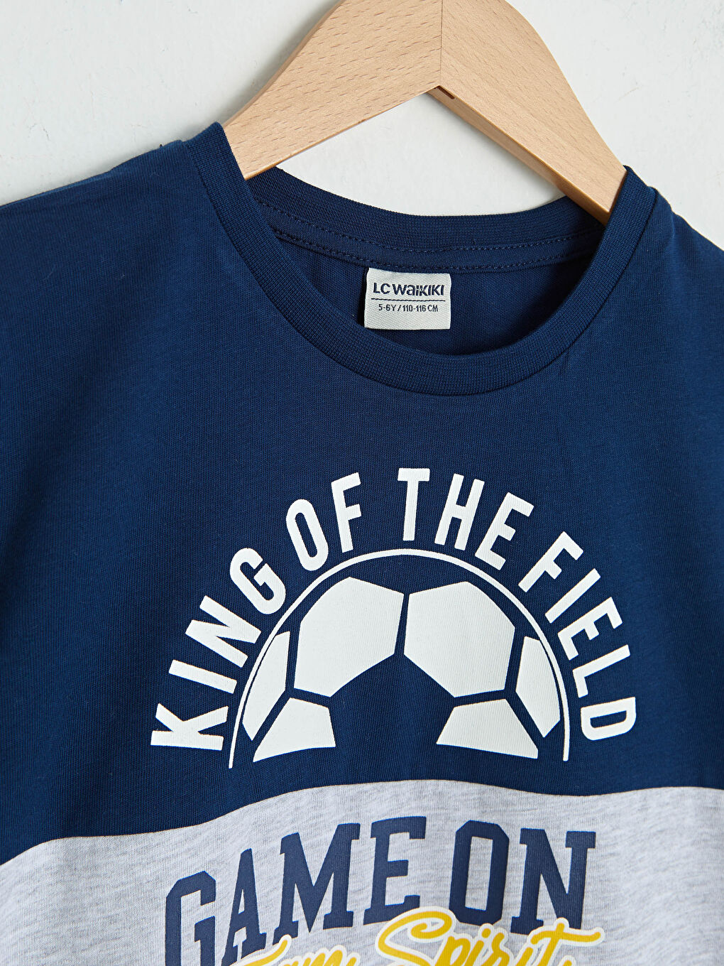 T-Shirt et Short pour Garçons Imprimés à Col Rond et Manches Courtes-2