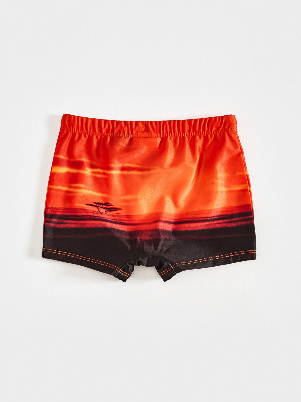 Boy's Lion King Printed Boxer Swimsuit-1