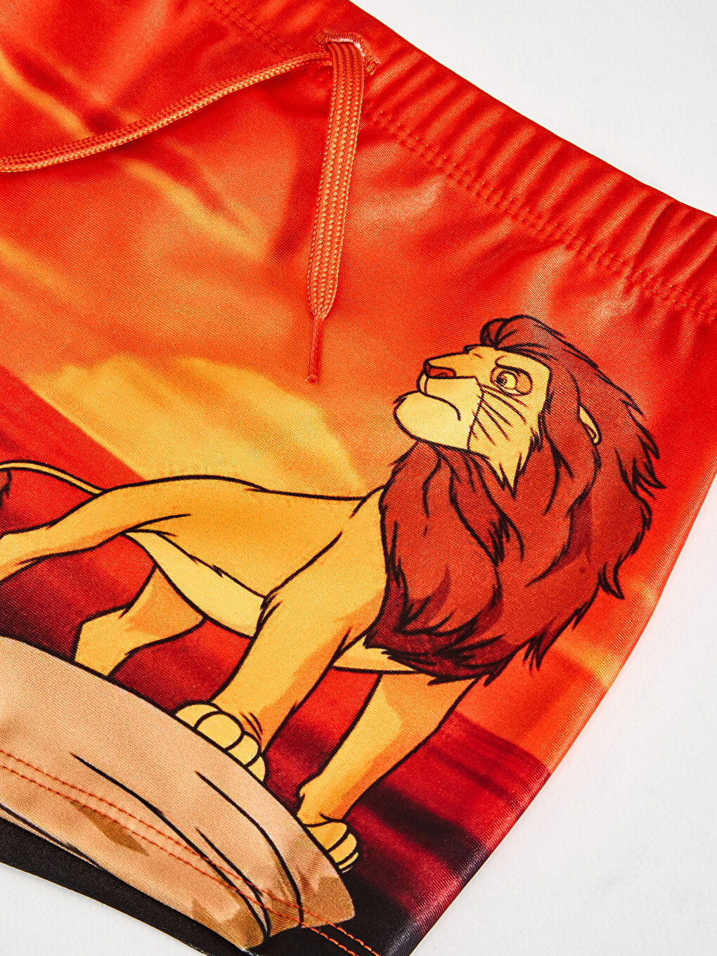 Boy's Lion King Printed Boxer Swimsuit-2