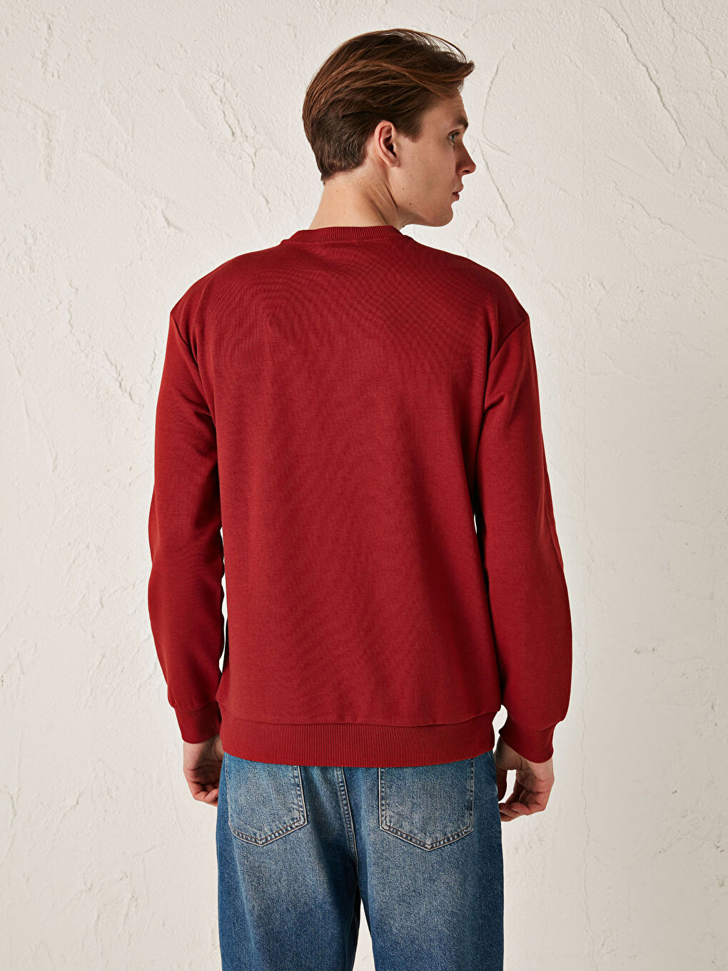 Crew Neck Long Sleeve Printed Thick Men's Sweatshirt-3