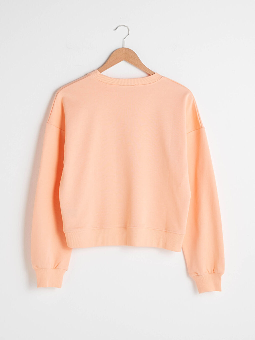 Mercan Bisiklet Yaka Nakışlı Uzun Kollu Kadın Sweatshirt-8