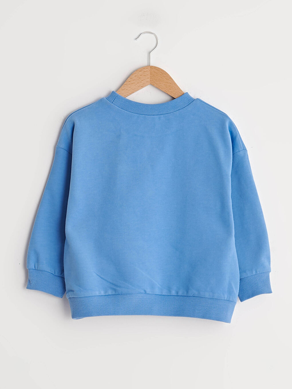 Crew Neck Long Sleeve Printed Baby Boys' Sweatshirt-1