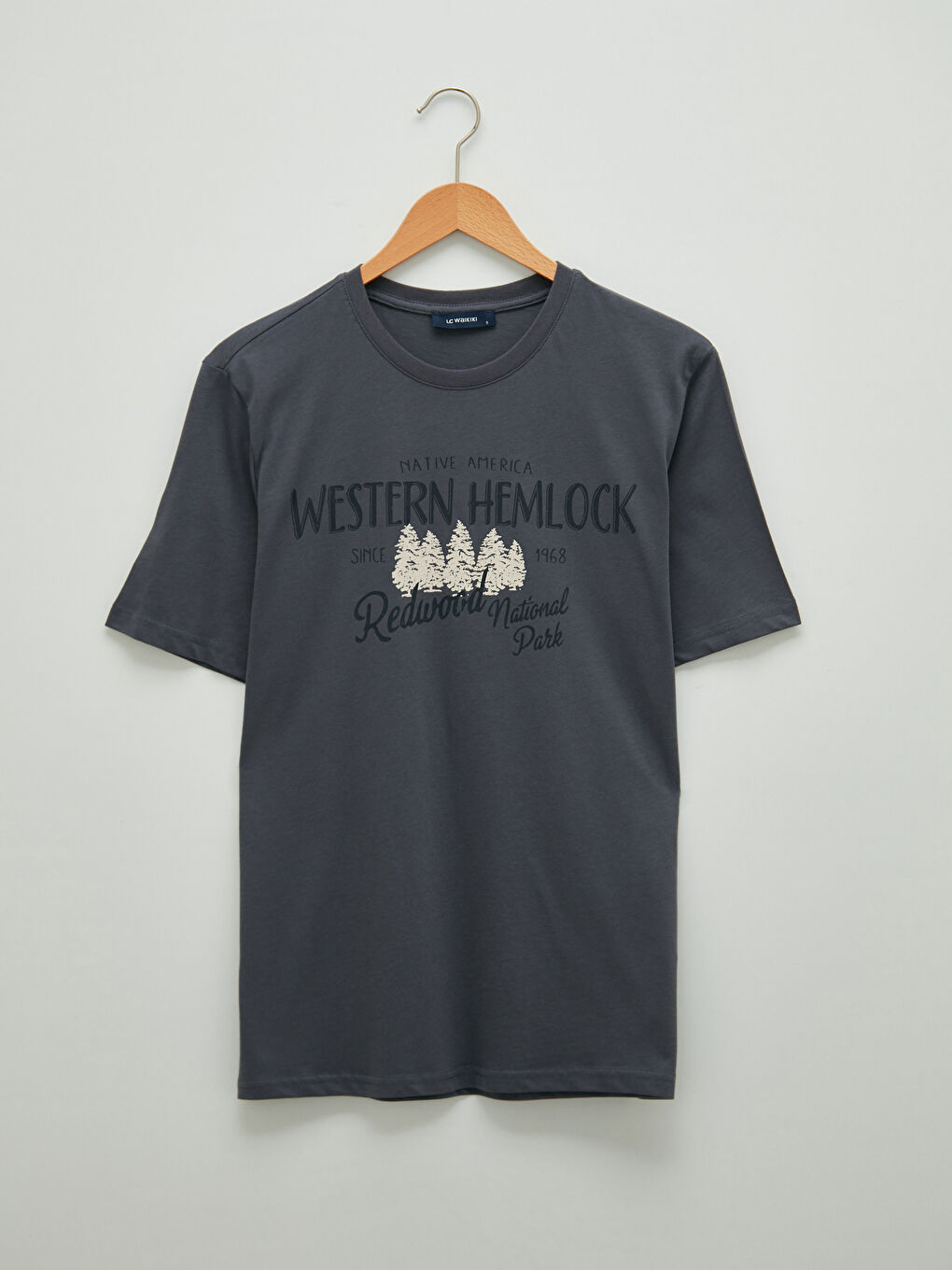 Antrasit Bisiklet Yaka Kısa Kollu Baskılı Penye Erkek Tişört-5