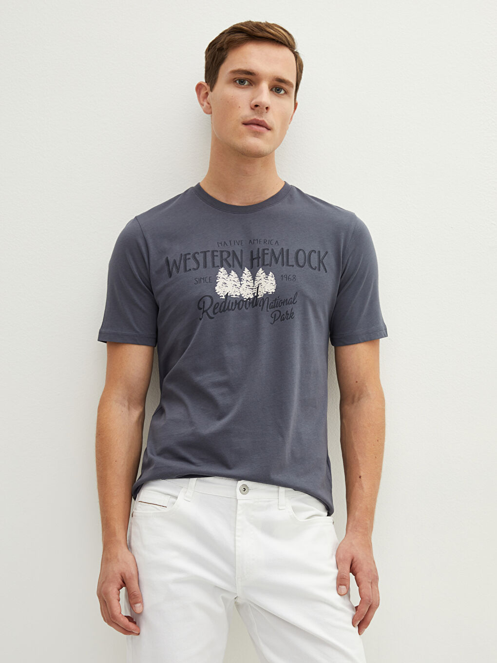 Antrasit Bisiklet Yaka Kısa Kollu Baskılı Penye Erkek Tişört-4