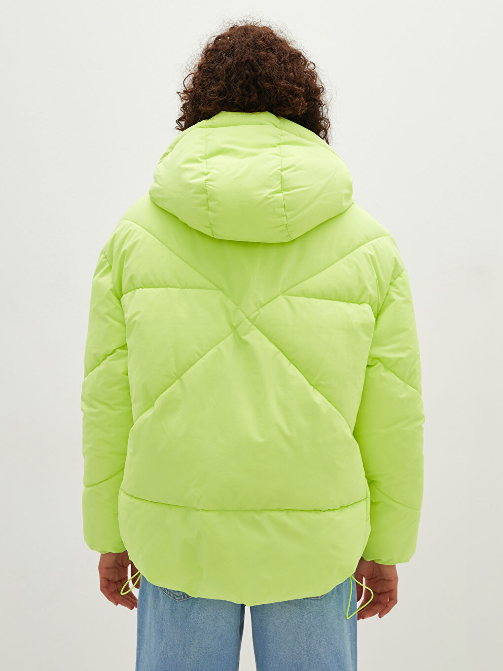 LCW Vision Hooded Self Patterned Long Sleeve Thick Women's Down Jacket -W10235Z8-PGQ