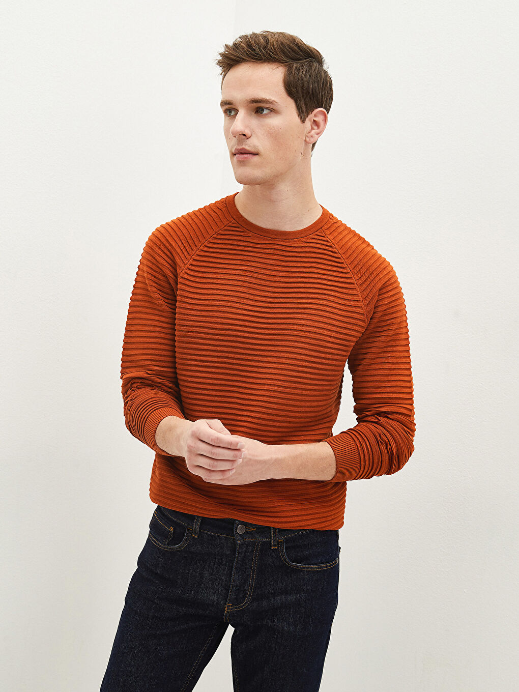 Crew Neck Long Sleeve Striped Slim Men's Knitwear Sweater