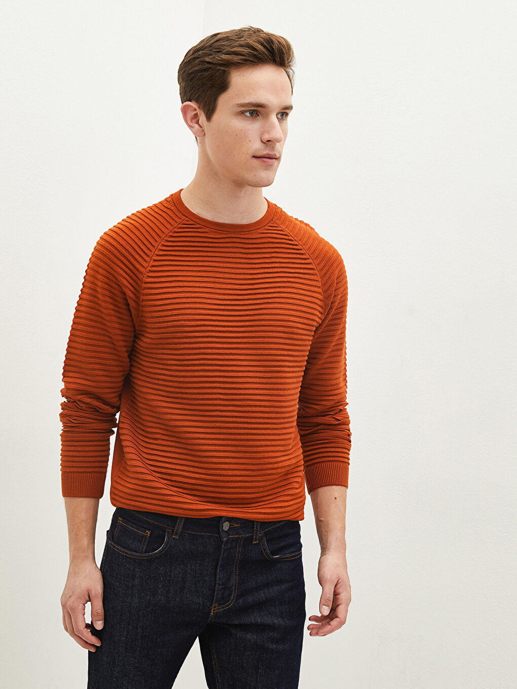 Crew Neck Long Sleeve Striped Slim Men's Knitwear Sweater-1