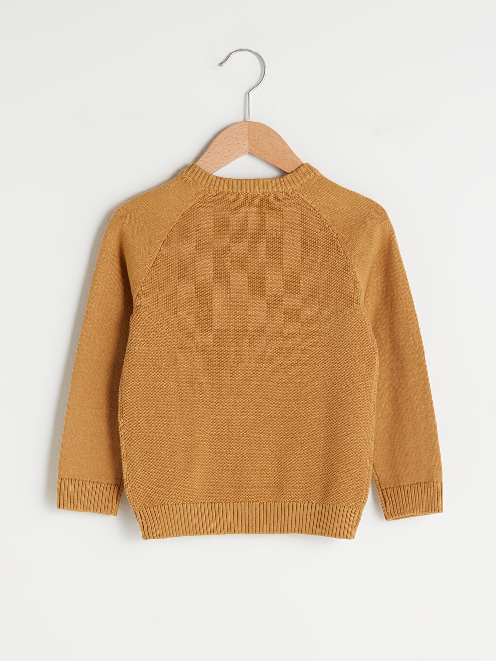 Crew Neck Self Patterned Baby Boy Knitwear Sweater-1