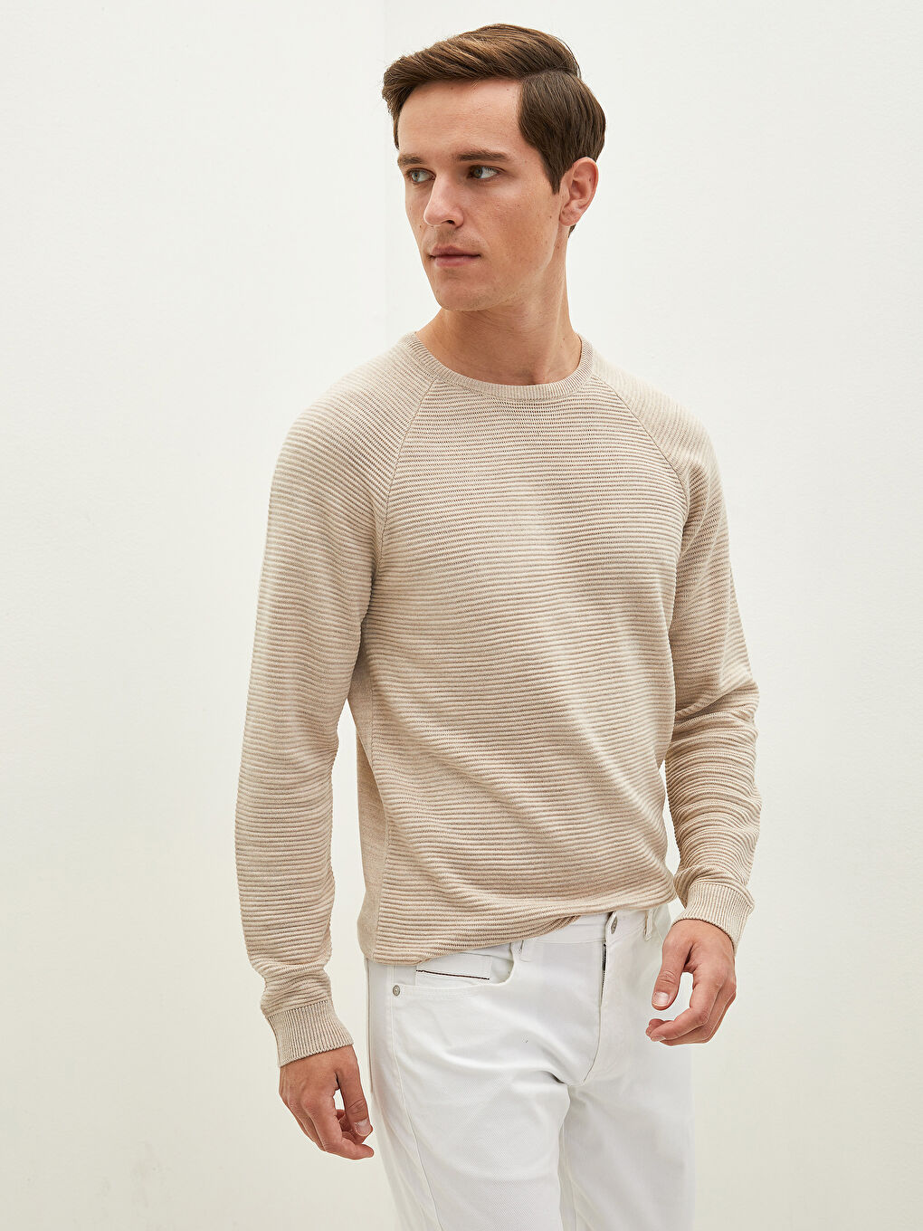 LCW Vision Rundhalsausschnitt Langarm Dünner Herren Strickpullover -W10685Z8-L8T