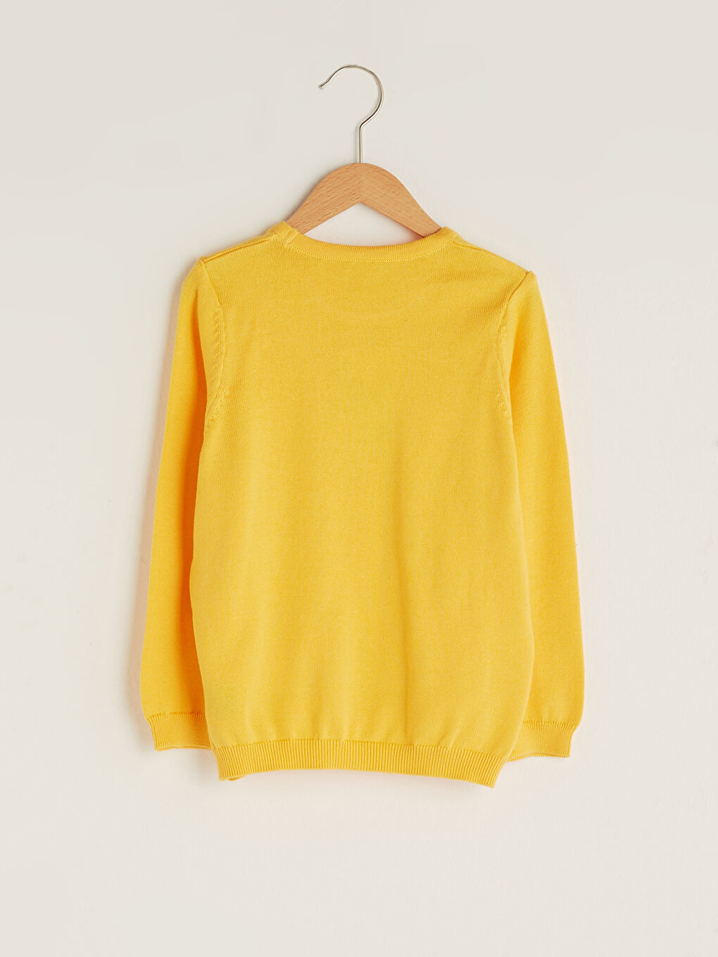 Crew Neck Basic Long Sleeve Girl Thin Tricot Sweater-1