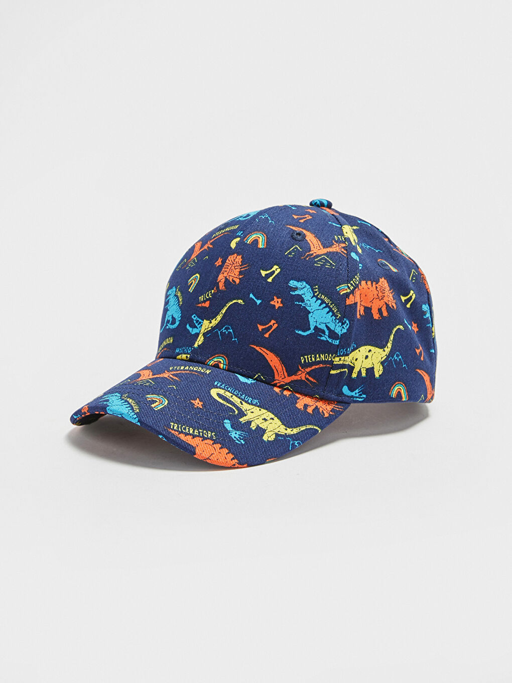 Dinosaur Printed Boy Hat-1