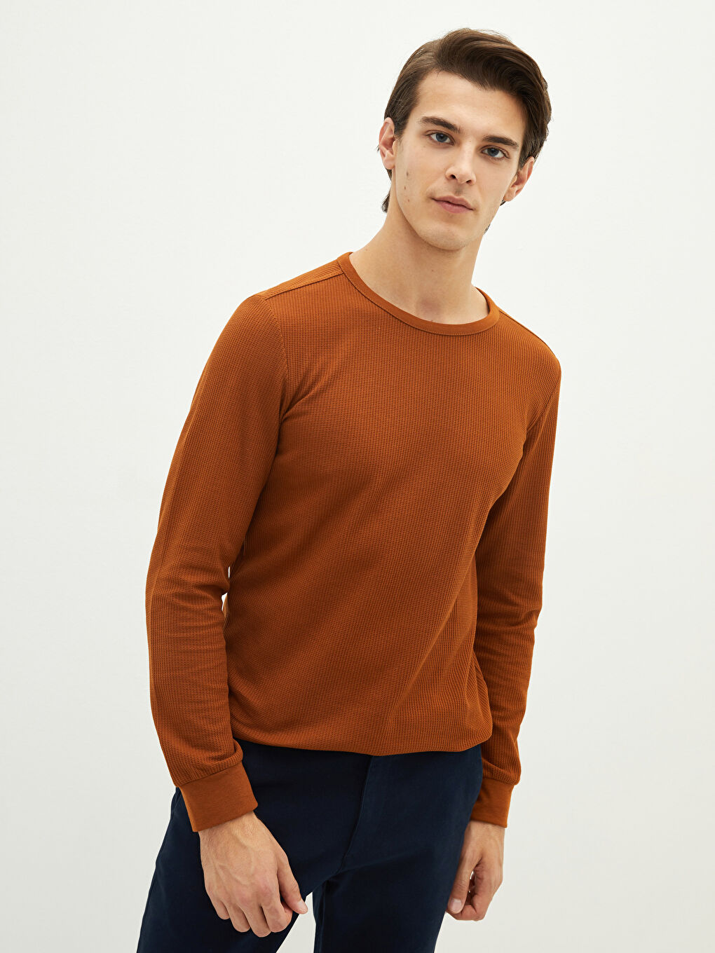 Crew Neck Long Sleeve Regular Men's T-shirt-1