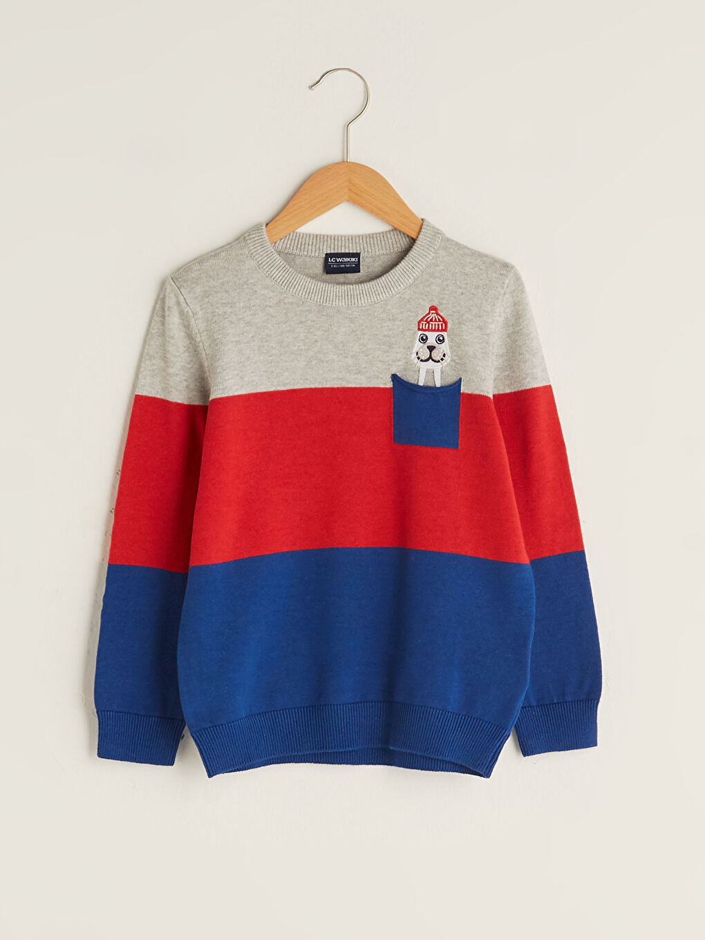 Crew Neck Long Sleeve Boy Thin Tricot Sweater with Color Block