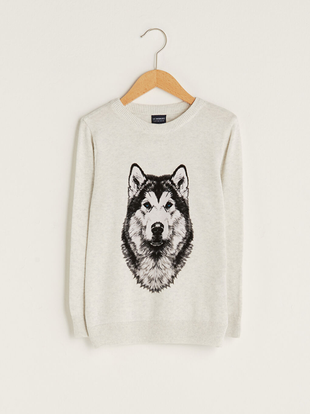 LCW Kids Crew Neck Patterned Long Sleeve Boy Thin Tricot Sweater -W11833Z4-LAK