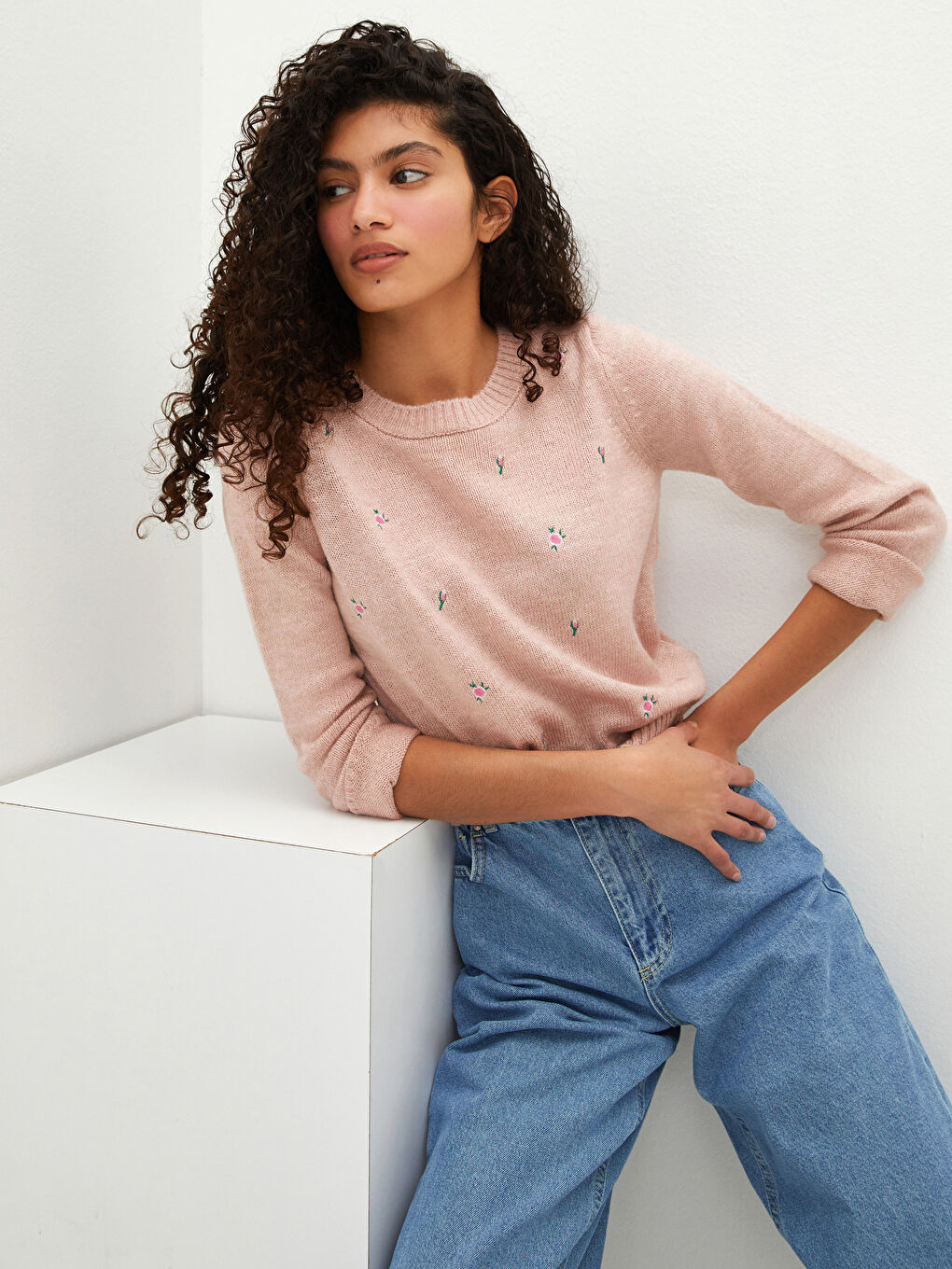 LCW Vision Rundhalsausschnitt Bestickter Strickpullover für Damen -W12700Z8-G2J