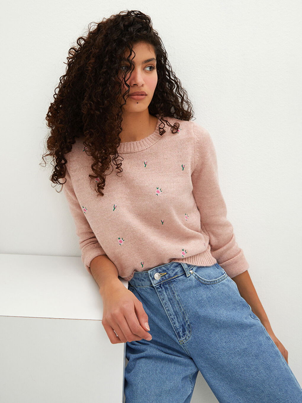 LCW Vision Rundhalsausschnitt Bestickter Strickpullover für Damen -W12700Z8-G2J