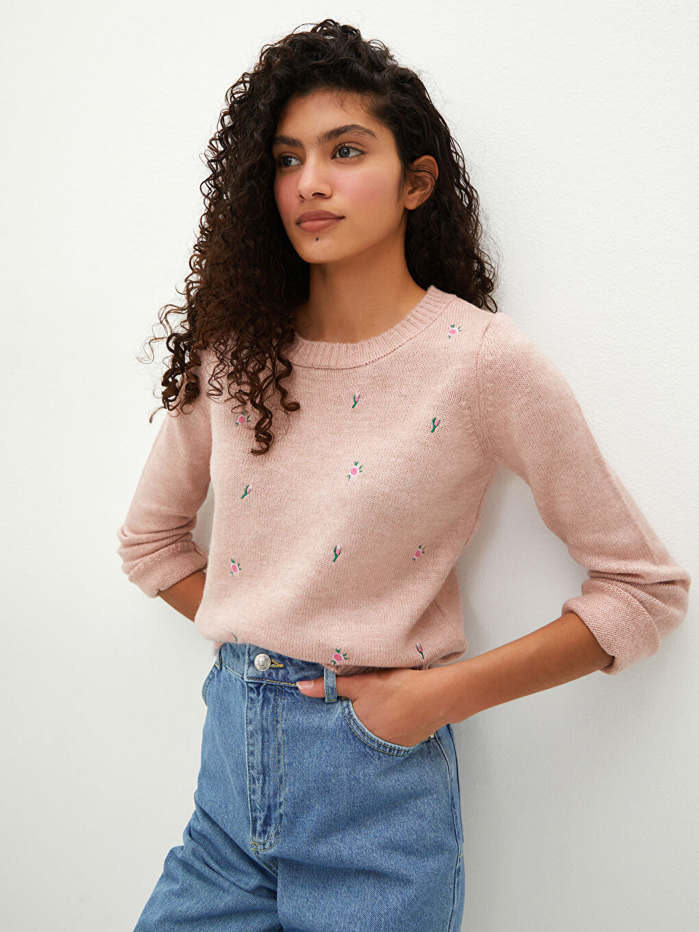 LCW Vision Rundhalsausschnitt Bestickter Strickpullover für Damen -W12700Z8-G2J