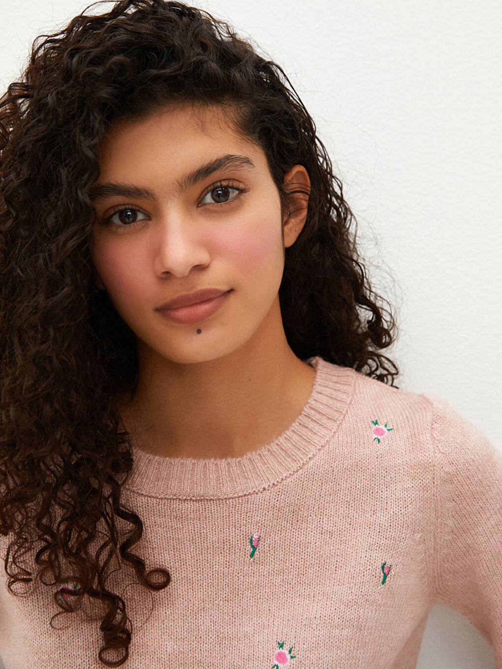 LCW Vision Rundhalsausschnitt Bestickter Strickpullover für Damen -W12700Z8-G2J