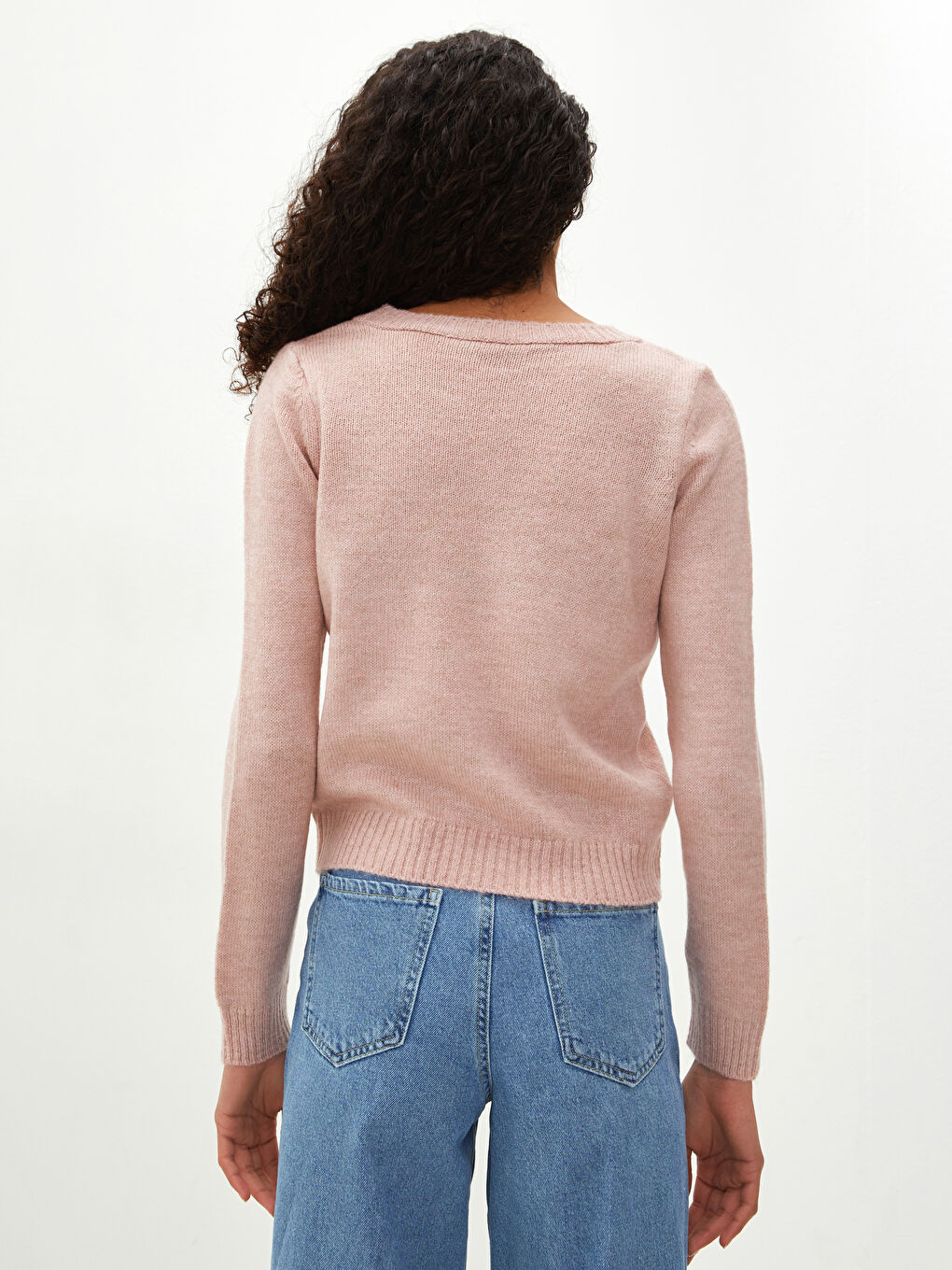 LCW Vision Rundhalsausschnitt Bestickter Strickpullover für Damen -W12700Z8-G2J