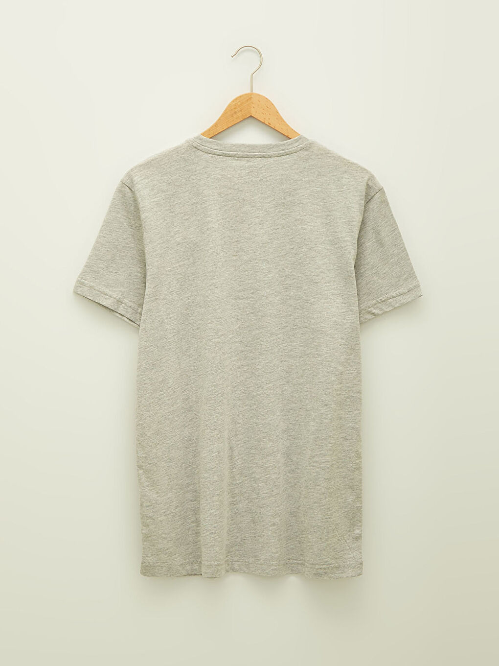 Gri Bisiklet Yaka Kısa Kollu Basic Penye Erkek Tişört-6